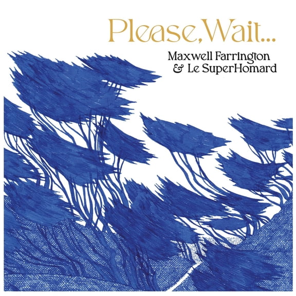 Please, Wait... (LP)
