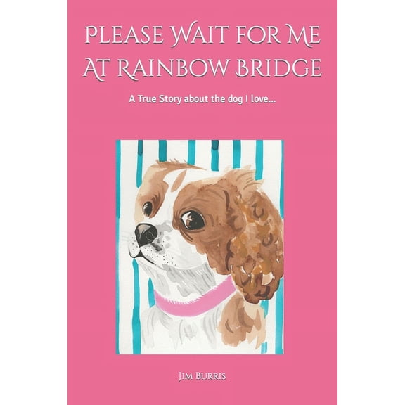 Please Wait for Me At Rainbow Bridge: A True Story About The Dog I Love (Paperback)