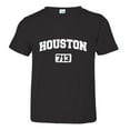 thumbnail image 1 of PleaseMeTees™ Toddler Houston 713 Area Code Distressed HQ Tee, 1 of 1