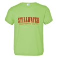 thumbnail image 1 of PleaseMeTees™ Toddler Stillwater Almost Famous Tour Name Logo HQ Tee, 1 of 1