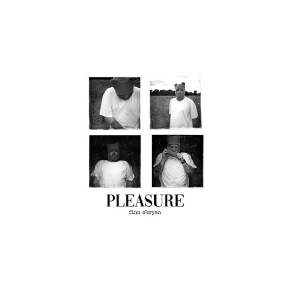 Pleasure (Paperback)