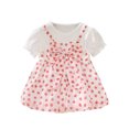 thumbnail image 1 of Plebaso Girls Dresses Short Sleeve Printed Mesh Suspender Dress Baby Summer Clothes, 1 of 7
