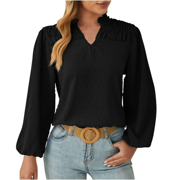 Plebaso Long Sleeve Shirts for Women Business Casual Work Tops V Neck Office Dressy Tunics Blouses