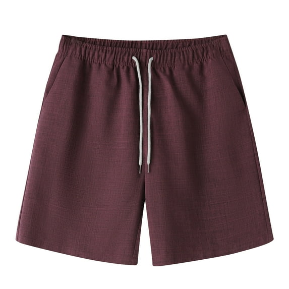 Plebaso Men's Elastic Waist Drawstring Casual Shorts Loose Summer Outdoor Vacation Shorts with Pockets