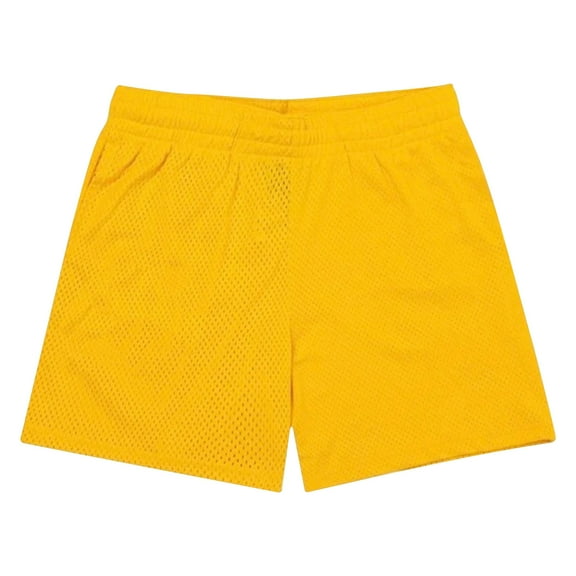 Plebaso Men's Mesh Elastic Waist Athletic Shorts Casual Plain Breathable Summer Beach Shorts with Pockets