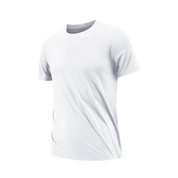 Plebaso Mens Lightweight Athletic T-Shirts Short Sleeve Sports Tee Stretch Training Exercise Workout Tops