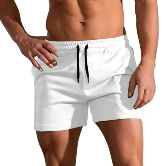 Plebaso Sweat Shorts for Men Casual Elastic Waist Lounge Shorts Workout Jogger Running Beach Sports Shorts
