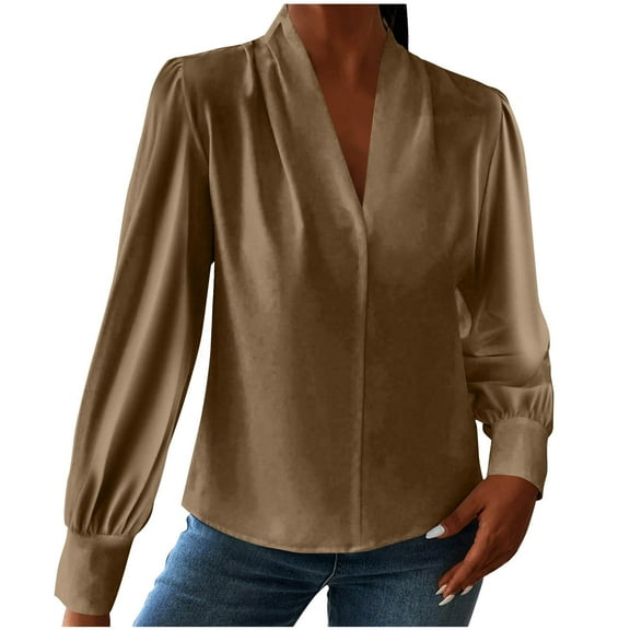 Plebaso Women's Elegant Shirts V Neck Casual Puff Long Sleeve Blouses Dressy Work Tunic Tops for Women