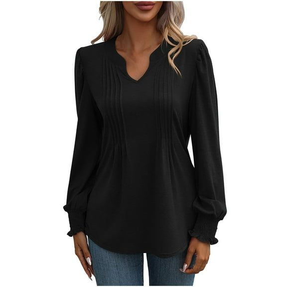 Plebaso Women's Long Sleeve Tunic Tops Casual V Neck Pleated Front Dressy Blouses Fall Winter Clothes
