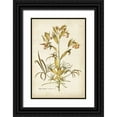 thumbnail image 1 of Plenk, J.J. 13x18 Black Ornate Wood Framed with Double Matting Museum Art Print Titled - Elegant Botanical II, 1 of 4