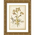 thumbnail image 1 of Plenk, J.J. 23x32 Gold Ornate Wood Framed with Double Matting Museum Art Print Titled - Elegant Botanical II, 1 of 4