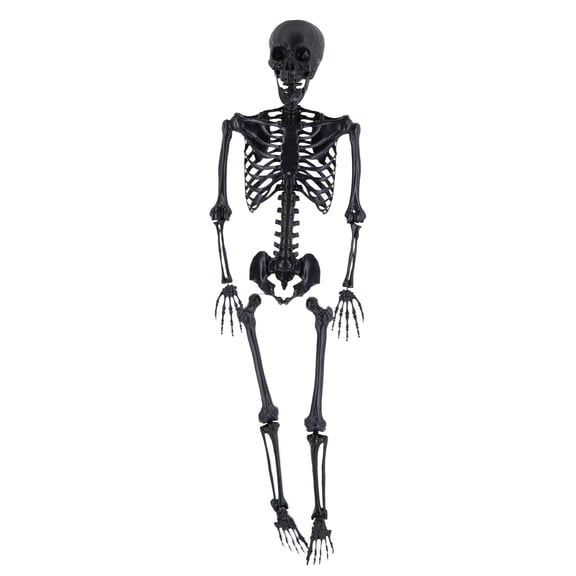 Plenkra Halloween Hollow Black Life-Size Hanging Skeleton, 5.6ft/170 cm Posable & Weather-Resistant, for Outdoor Yard & Halloween Party Decor