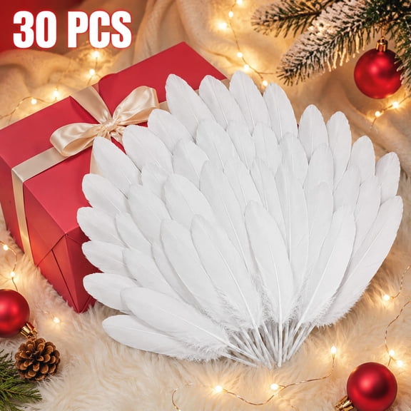 Plertrvy Clearance White Natural Goose Feathers, Soft Craft Feathers for DIY Dream Catchers, Wedding Centerpieces, Halloween Decorations, Costumes and Holiday Gifts （30pc）