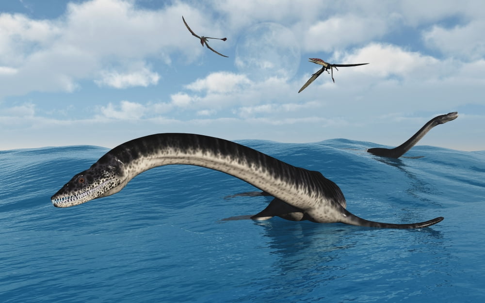 Plesiosaurs in their marine habitat Canvas Art - Mark StevensonStocktrek Images (36 x 23)