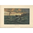 thumbnail image 1 of Plesiosaurus, Large Marine Sauropterygian Reptilea Poster Print By ® Florilegius Mary Evans (24 X 18), 1 of 3
