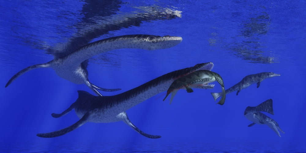 Plesiosaurus attacks a Metriorhynchus in Jurassic seas Canvas Art - Corey FordStocktrek Images (40 x 20)