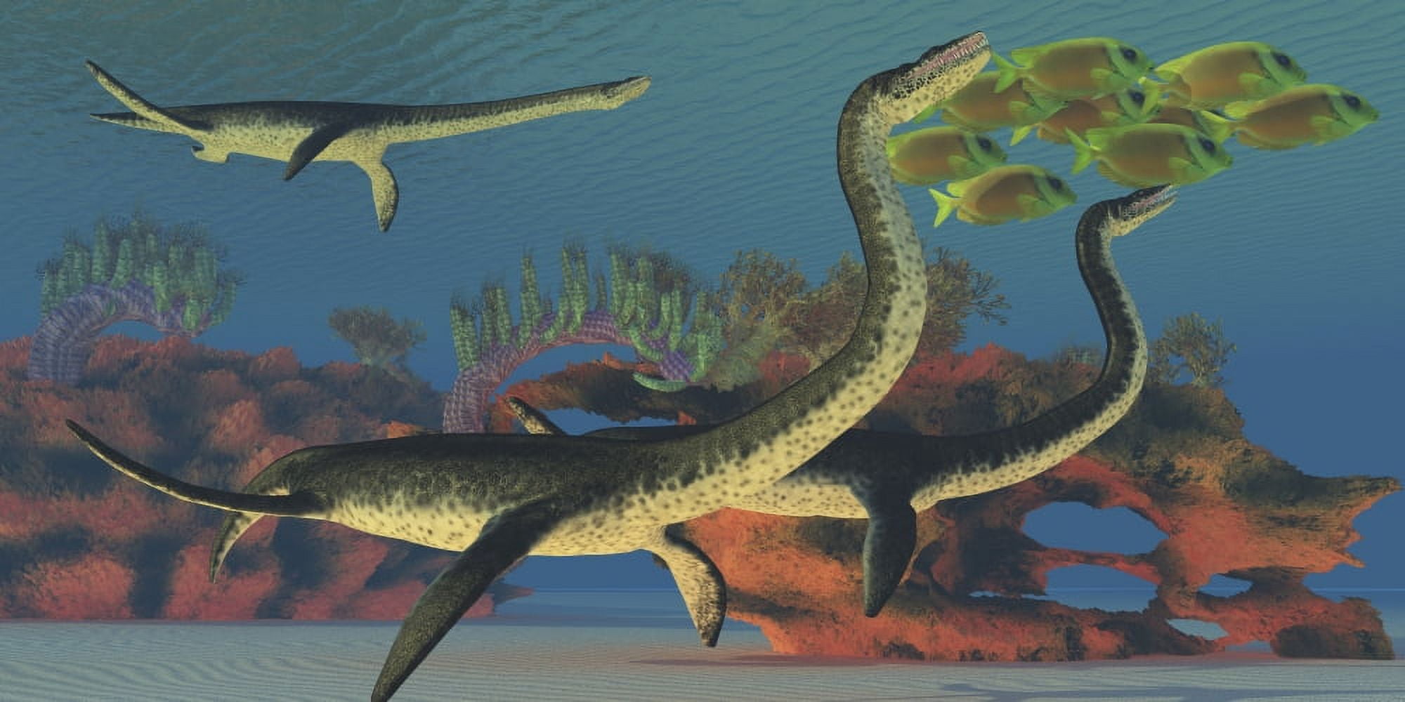 Plesiosaurus dinosaurs chase a school of Lemonpeel Angelfish Canvas Art - Corey FordStocktrek Images (20 x 10)