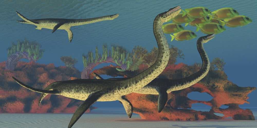 Plesiosaurus dinosaurs chase a school of Lemonpeel Angelfish Canvas Art - Corey FordStocktrek Images (40 x 20)