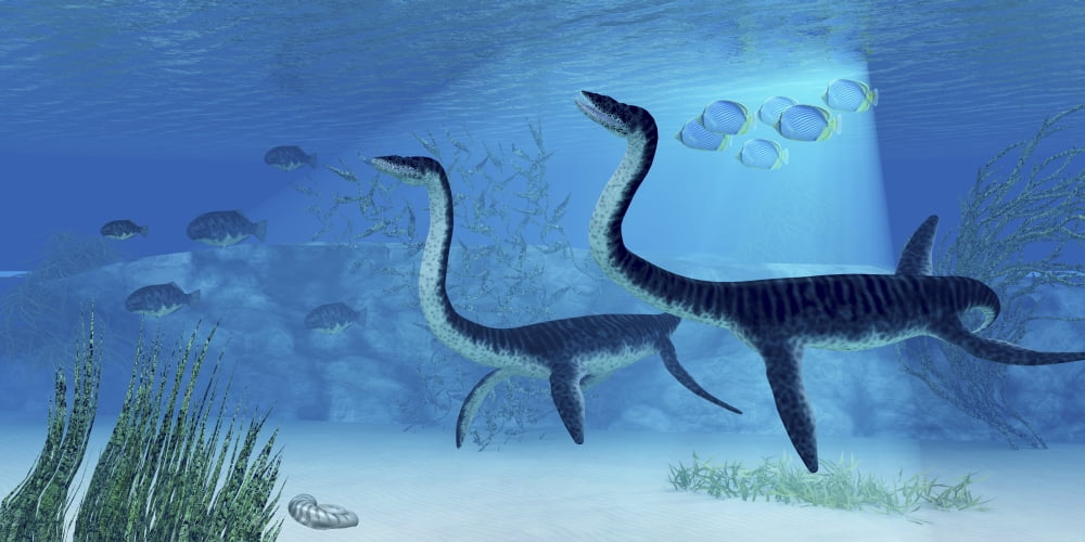 Plesiosaurus dinosaurs swimming the Jurassic seas Canvas Art - Corey FordStocktrek Images (40 x 20)