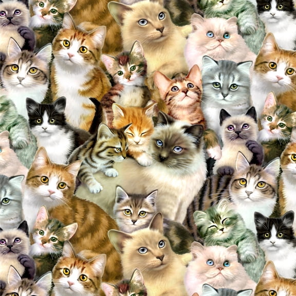 Plethora of Cats and Kittens Pattern Premium Roll Gift Wrap Wrapping Paper