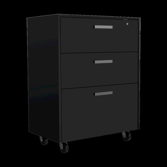 Plethoria Home Black 4 Piece Garage Set