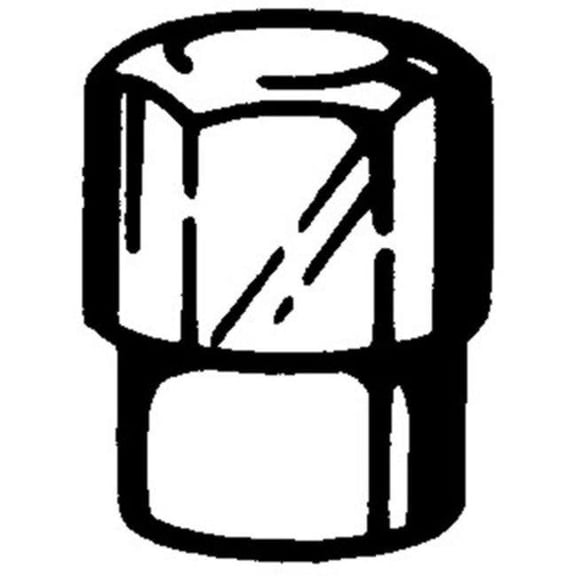 Plews & Edelmann 387124 Hex Valve Cap Custom