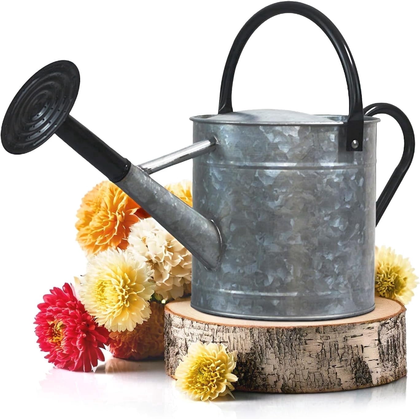 Plexon 1 Gallon Metal Watering Can Outdoor, Flower Plant Gardening Garden Large Galvanized Watering Can Pot Pitcher, Steel Black Handles and Removable Spray Spout, Silver