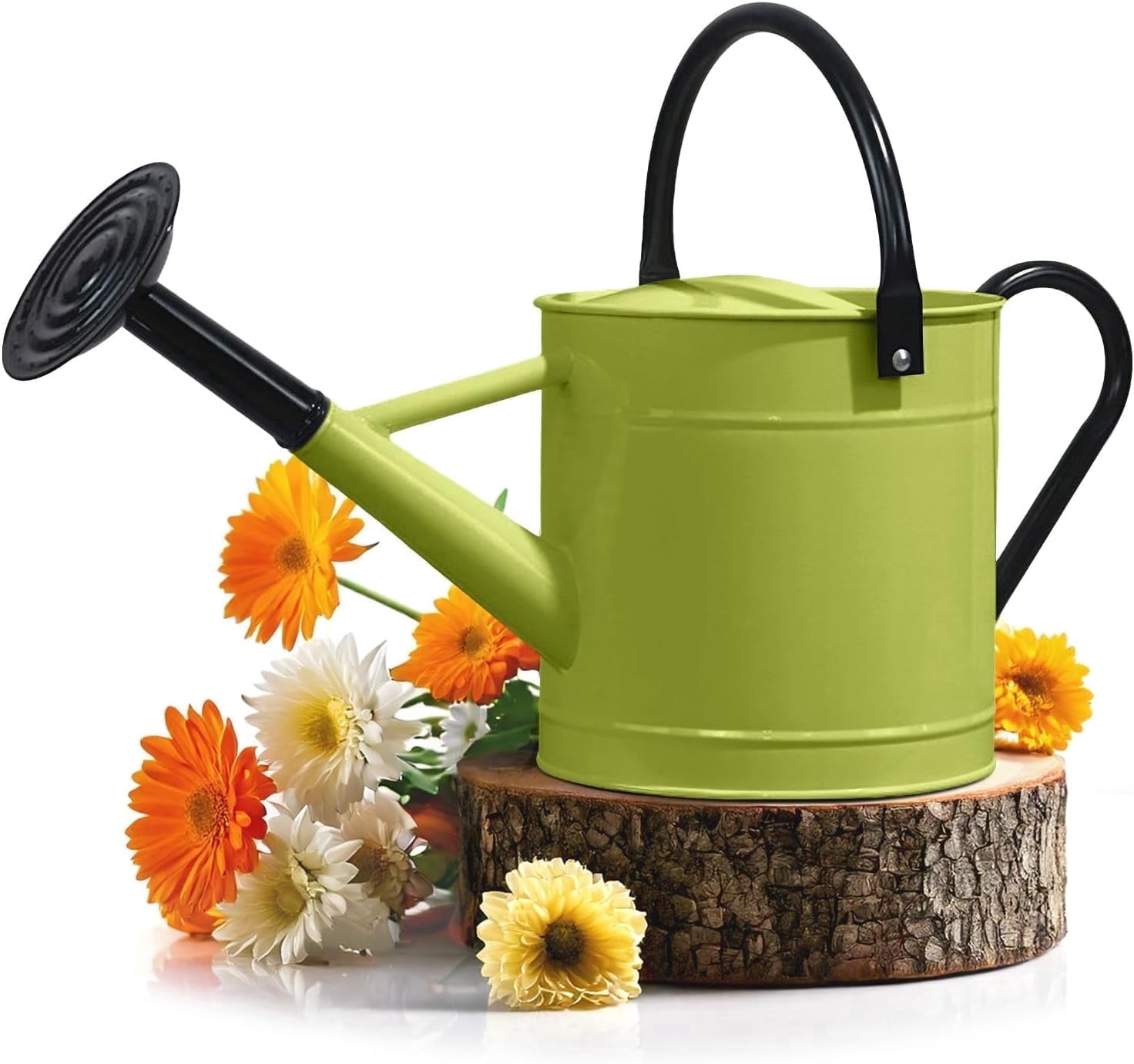Plexon 1 Gallon Metal Watering Can Outdoor, Flower Plant Gardening Garden Large Green Watering Can Pot, Galvanized Steel Handles - Removable Spray Spout, Green