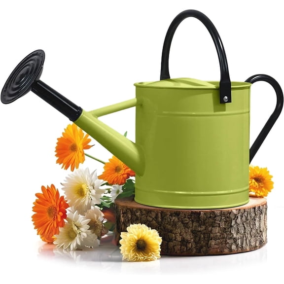 Plexon 1 Gallon Metal Watering Can Outdoor, Flower Plant Gardening Garden Large Green Watering Can Pot, Galvanized Steel Handles - Removable Spray Spout, Green