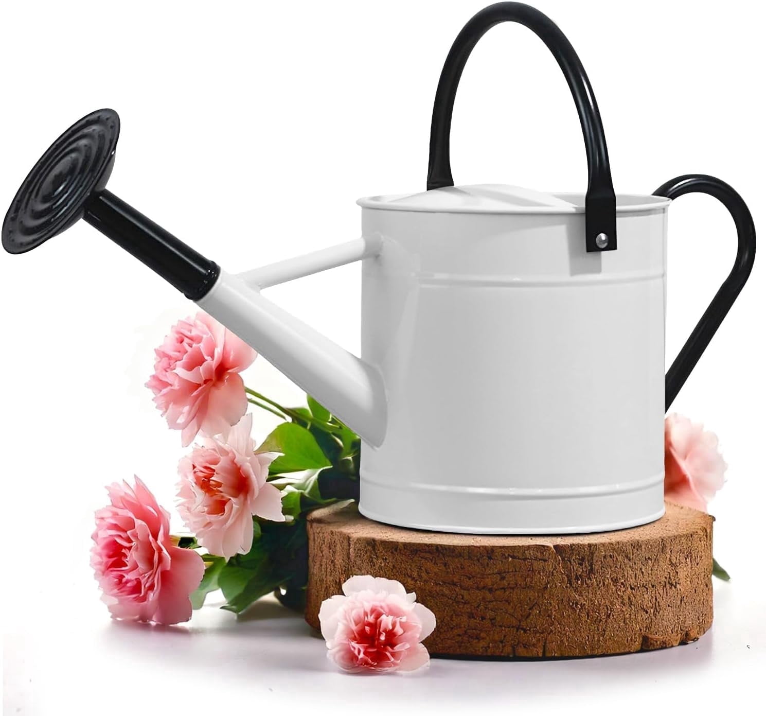 Plexon 1 Gallon Watering Can Metal, White Garden Metal Watering Can Outdoor, Indoor Metal Watering Can, Large Gardening Watering Pot, Black Galvanized Steel Handles and Removable Spray Spout