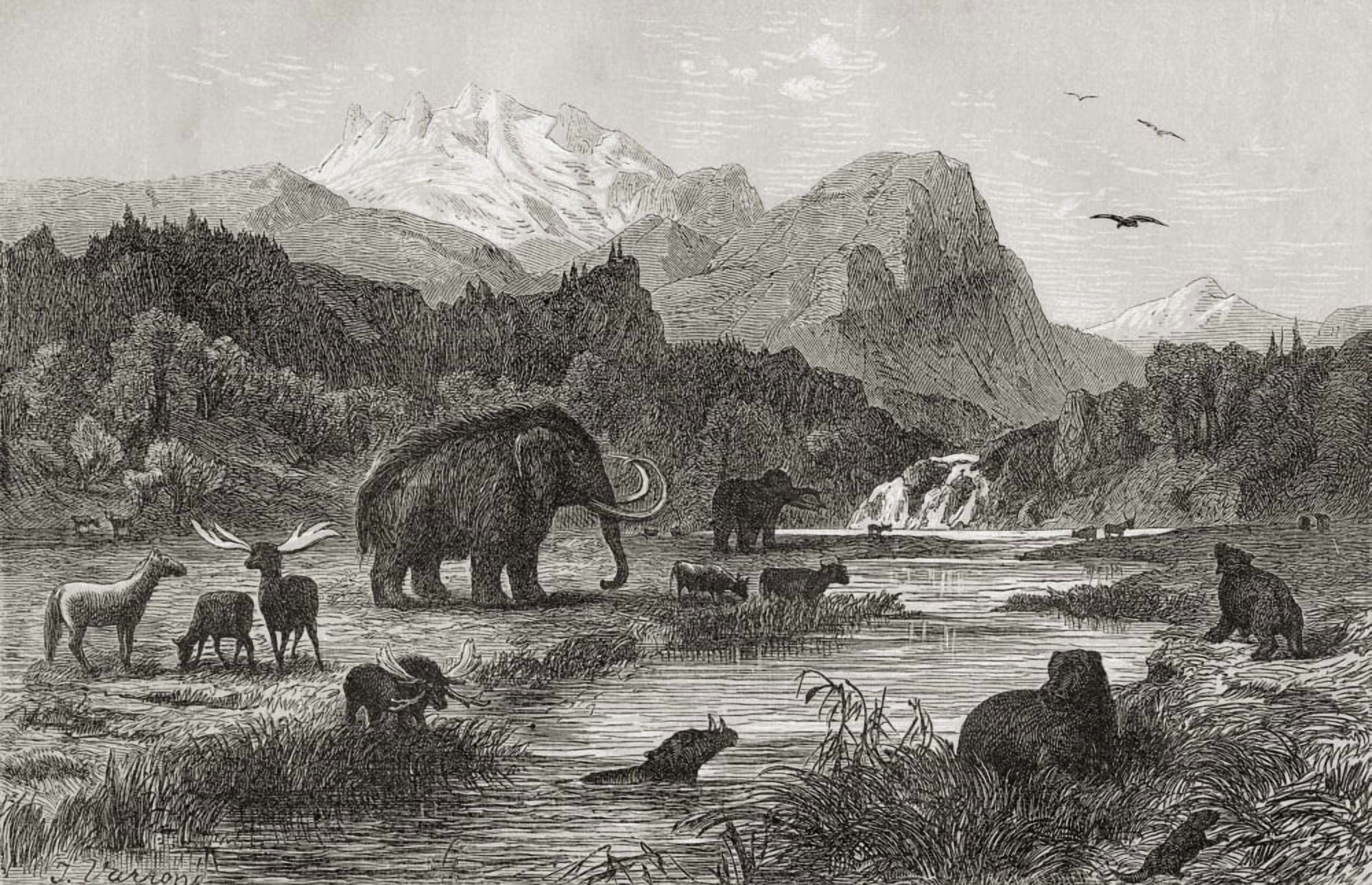 Pliocene Landscape Print From The 1870s Canvas Art - Ken Welsh Design Pics (18 x 11)