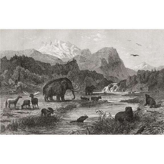 Pliocene Landscape. Print From The 1870s Poster Print