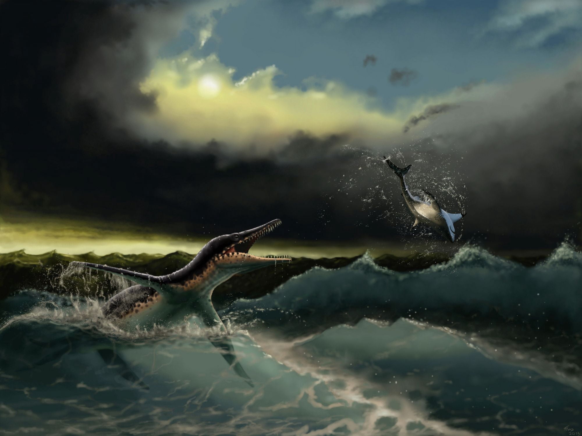 Pliosaurus irgisensis attacking a shark Canvas Art - Yuriy PriymakStocktrek Images (17 x 13)
