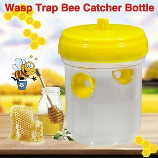 Ploknplq Fly Trap Safer Home Indoor Fly Trap Trap Catcher Fly No 5X Hanging  Control Fruit Fly Traps for Indoors White 