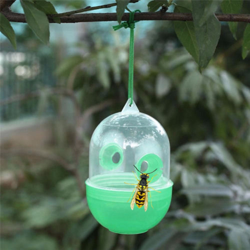 Ploknplq Fly Trap Safer Home Indoor Fly Trap Catcher Energy Solar Hanging  Fly Outdoor Trap Bee Catcher Fruit Fly Traps for Indoors B 