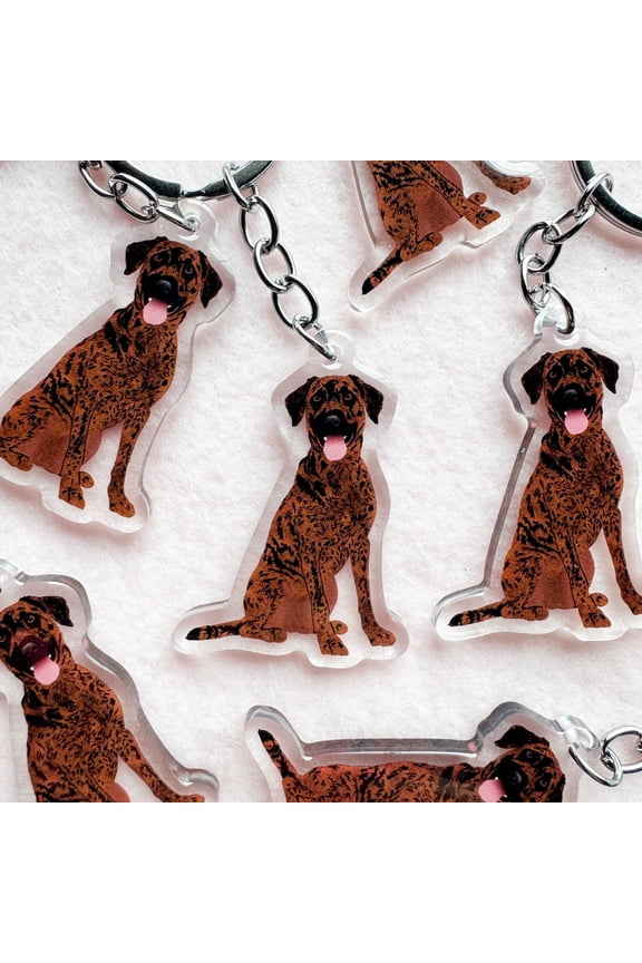 Plott Hound Keychain, Acrylic Keychain, Dog Keychain, Original Artwork Keychain (1 keychain)