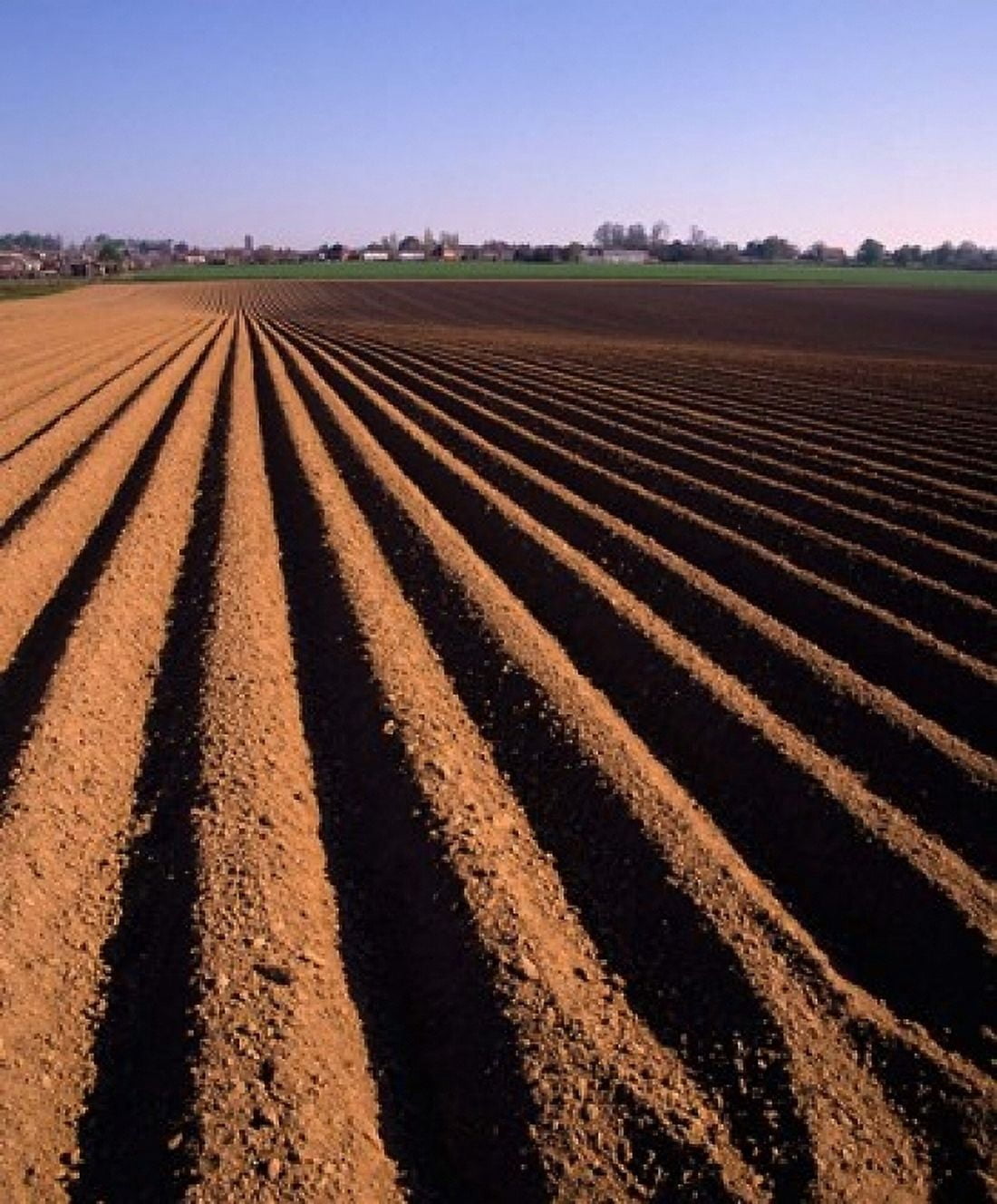 Ploughed Field Surrey England Canvas Art - Paul Thompson DanitaDelimont (16 x 20)
