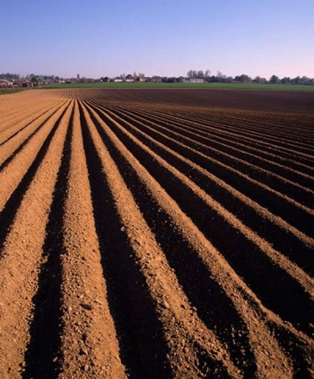 Ploughed Field Surrey England Canvas Art - Paul Thompson DanitaDelimont (29 x 35)