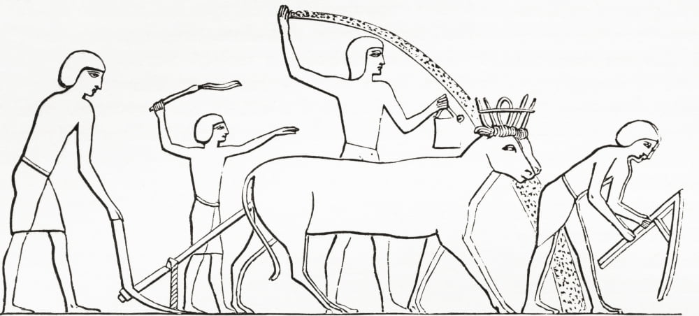 Ploughing hoeing and sowing with animals in ancient Egypt From The Imperial Bible Dictionary published 1889 Canvas Art - Ken Welsh  Design Pics (40 x 18)