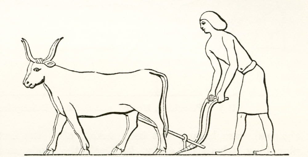 Ploughing with oxen in ancient Egypt From The Imperial Bible Dictionary published 1889 Canvas Art - Ken Welsh Design Pics (19 x 10)