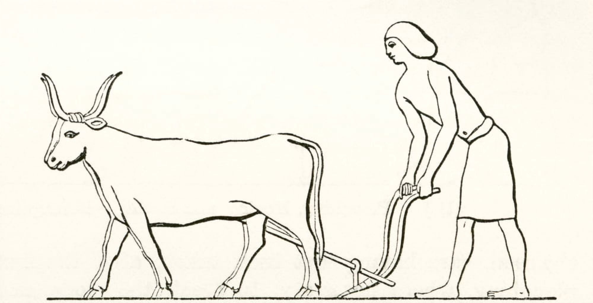 Ploughing with oxen in ancient Egypt From The Imperial Bible Dictionary published 1889 Canvas Art - Ken Welsh Design Pics (38 x 20)