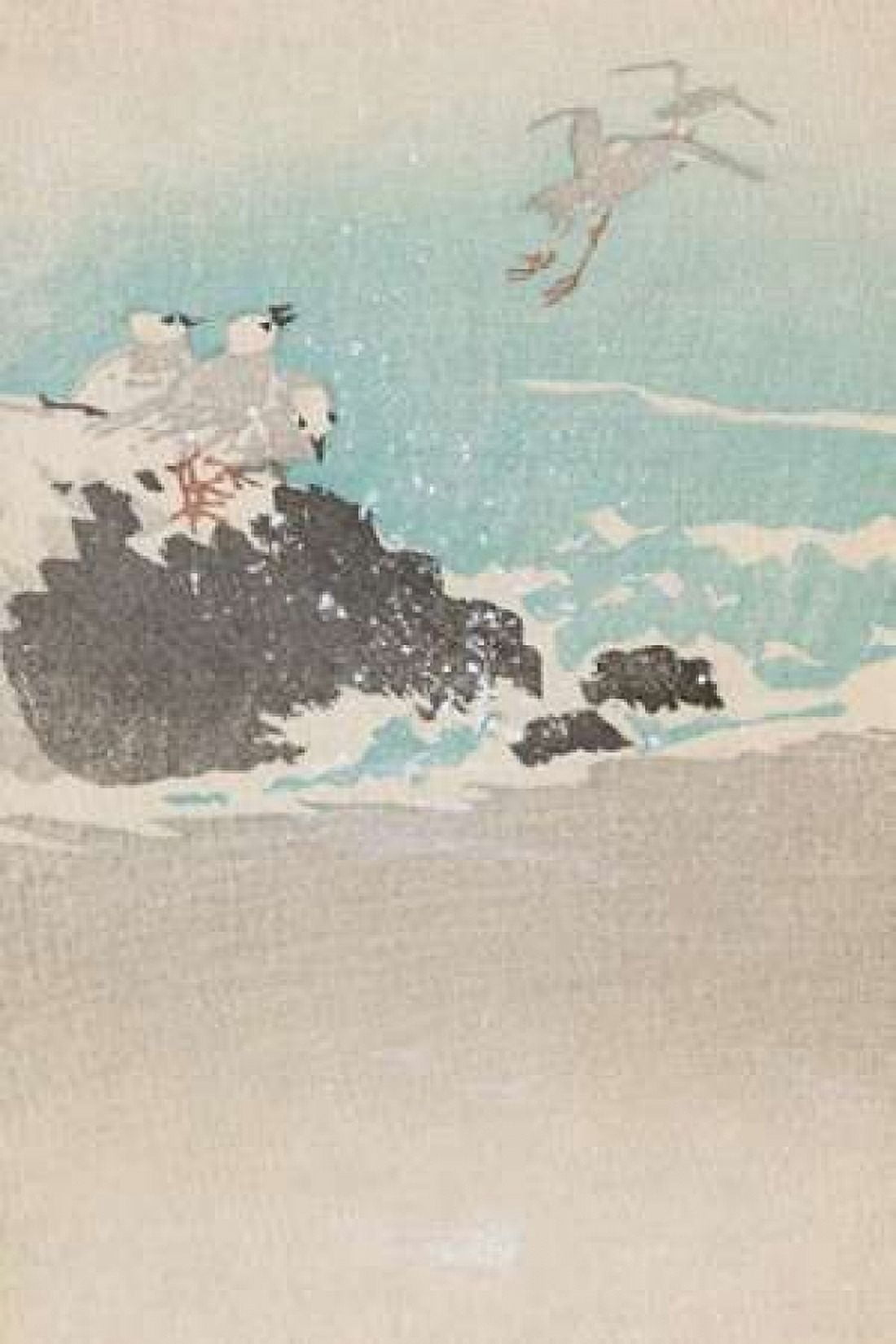 Plovers over waves Canvas Art - Unknown (24 x 36)
