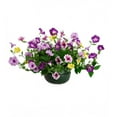 thumbnail image 1 of Plow & Hearth Faux Petunia Urn Filler - Purple, 1 of 1