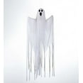 thumbnail image 1 of Plow & Hearth Hanging Ghost With Color-Changing Lights, 1 of 6