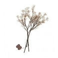 thumbnail image 1 of Plow & Hearth Indoor/Outdoor Lighted Baby's Breath Branches, Set of 2, 1 of 1