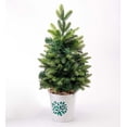 thumbnail image 1 of Plow & Hearth Lighted Tabletop Christmas Tree in White Bucket with Holly Design, 1 of 1
