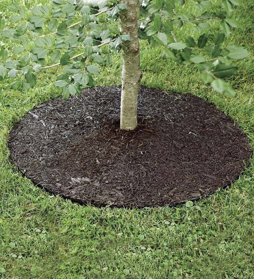 Plow & Hearth Permanent Mulch Recycled Rubber Tree Ring, 36" dia