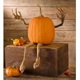 thumbnail image 1 of Plow & Hearth Posable Pumpkin Vine Arms and Legs Set, 1 of 3