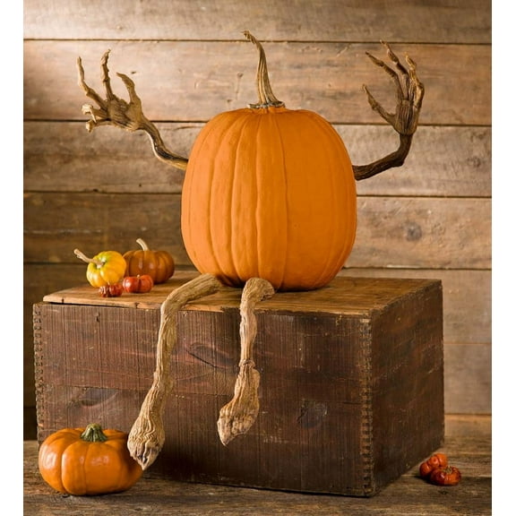 Plow & Hearth Posable Pumpkin Vine Arms and Legs Set