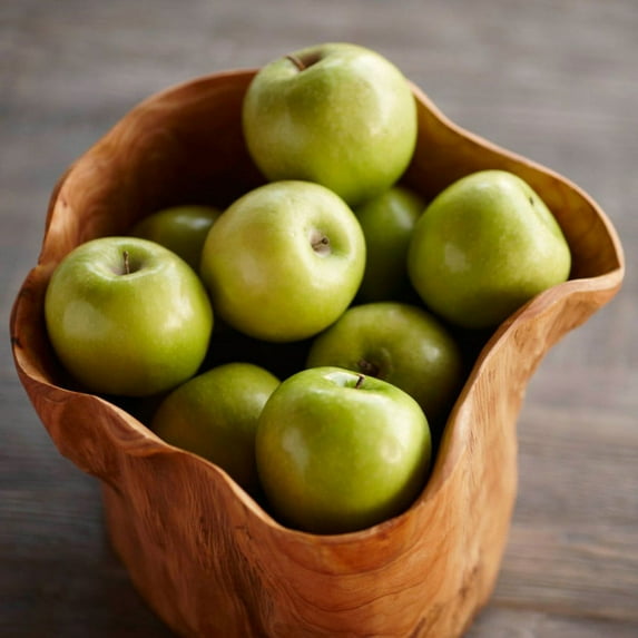 Plow & Hearth Root of the Earth Bowl - Large